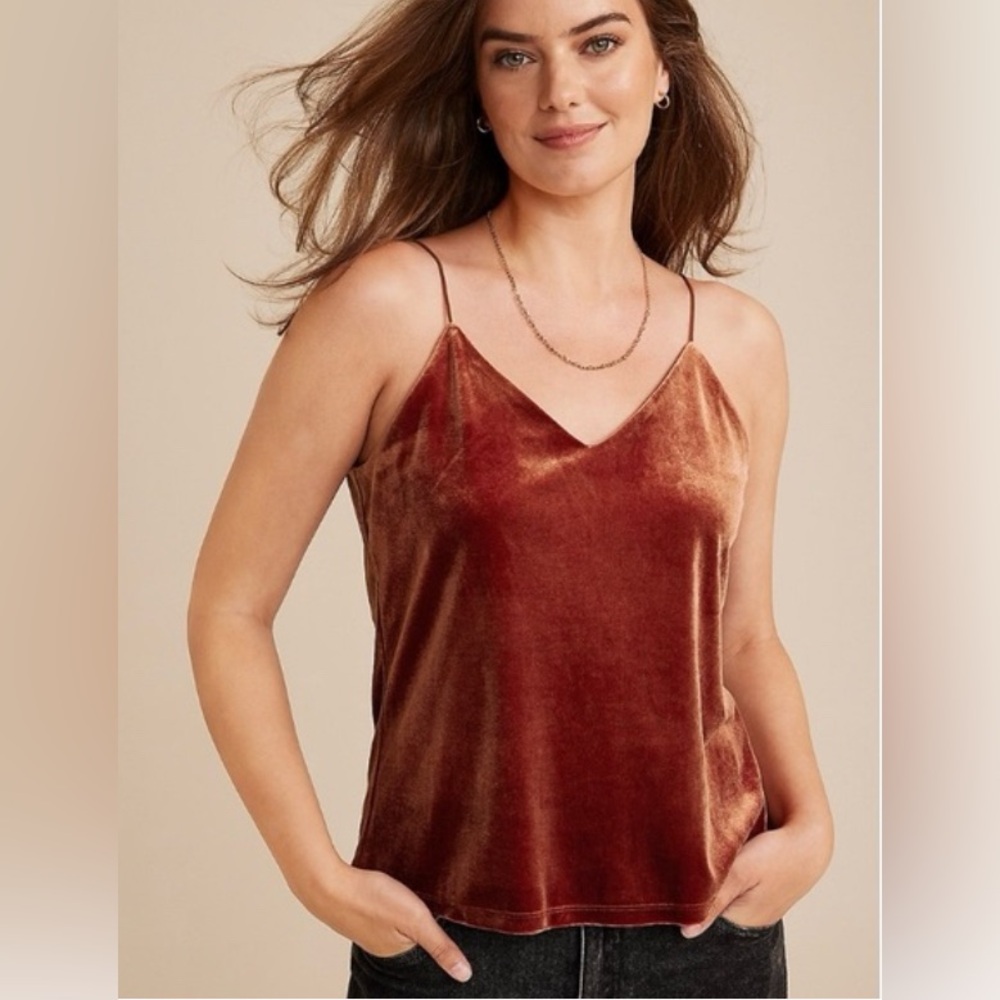Velvet Camisole in Rich Rust